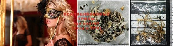 молекула духа Семилуки