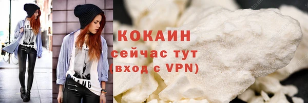 индика Заволжск