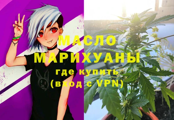 индика Заволжск