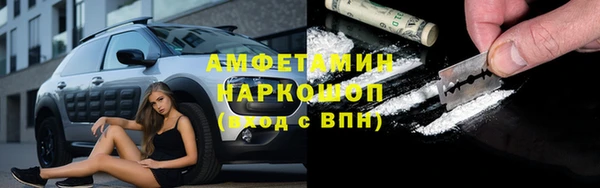 индика Заволжск