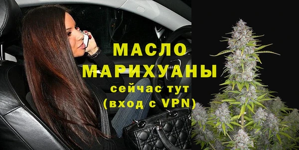 индика Заволжск