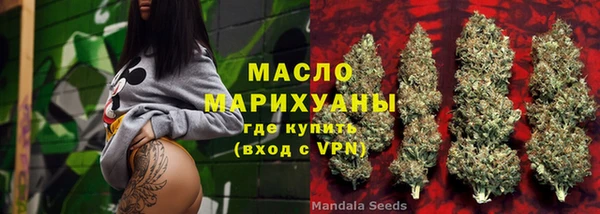 индика Заволжск