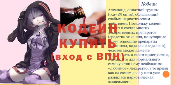 индика Заволжск
