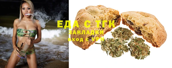 индика Заволжск
